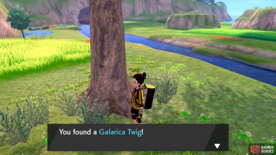 You can gather twigs up from all across the isle.
