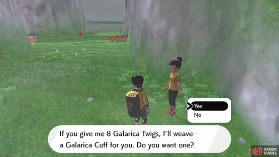 After collecting 8 twigs, give them to this lady in Workout Sea.