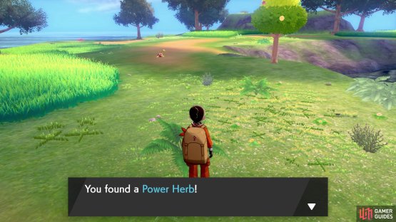 A Pok&eacute;mon holding this can immediately execute a move that normally requires a turn to charge (such as Solar Beam or Xerneas&rsquo;s Geomancy).