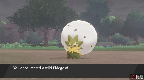 No. 127 Eldegoss