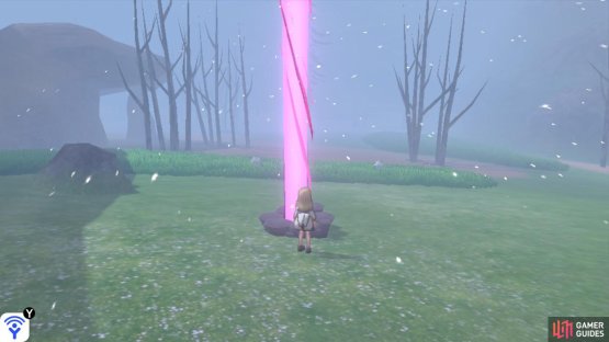 A rare raid.