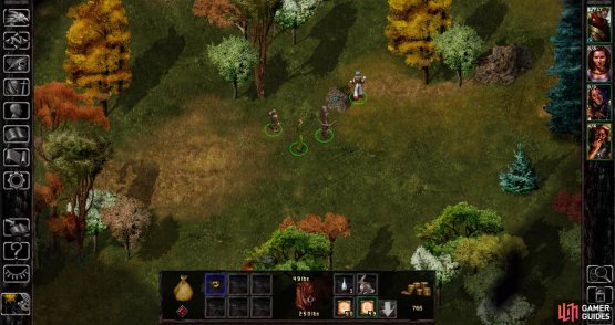 Answer how you wish, then head northeast to find a Ring of Princes +1 hidden in a rock.