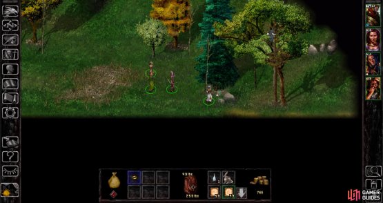 Find a well-hidden Ring of Wizardry - aka &ldquo;Evermemory&rdquo; hidden in some rocks.