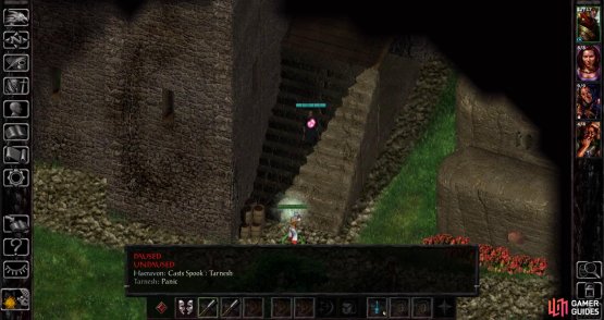 Tarnesh can also be brought down by a simple Spook spell. Debuffs are king in Baldur&rsquo;s  Gate - remember it.