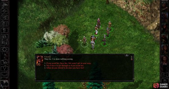 Where Viconia is being accosted by a Flaming Fist Mercenary.