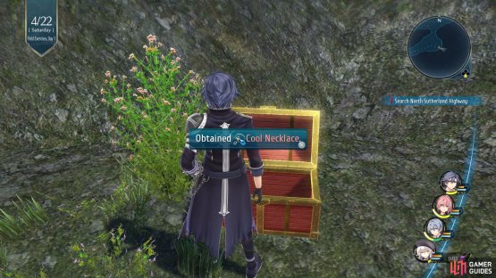Follow the path around to the right to find a Chest with the Cool Necklace inside