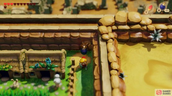 Place a Bomb against the crumbling wall to the back right of the Animal Village and head through,