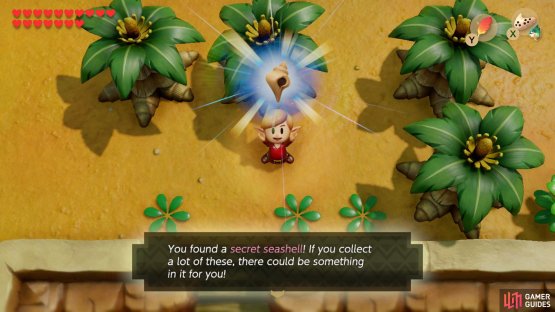 and dashing into the tree to get a Secret Seashell.