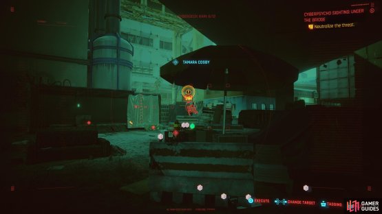 then when Tamara goes in for cover, throw grenades and use a tech weapon to continue dealing damage. 