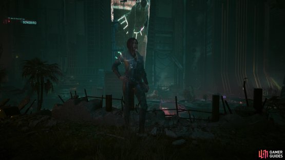 You can also optionally meet up with Songbird, although this is pure roleplay.