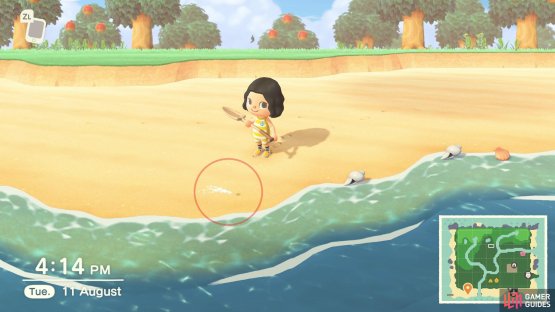 Keep an eye out for little spurts of water