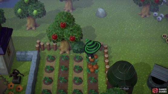 If you water the pumpkin seeds everyday you&rsquo;ll get three pumpkins from one seed