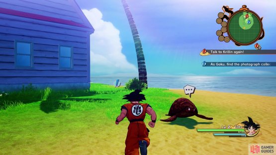 You can find Roshi&rsquo;s book by the one tree after speaking with Turtle