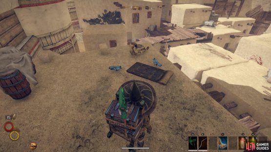 Find Pigeoneye atop a roof beside two birds and a bedroll.
