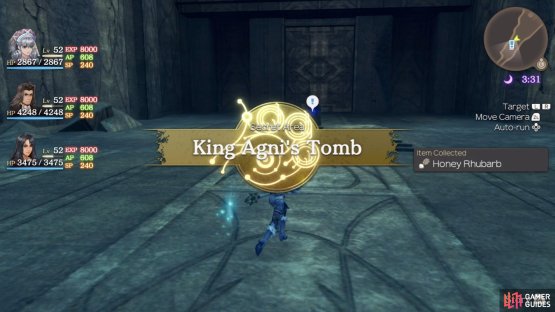 King Agni&rsquo;s Tomb is a Secret Area