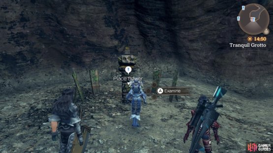 Tranquil Grotto Altar location.