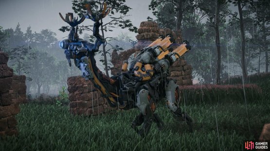 Grazer in the game