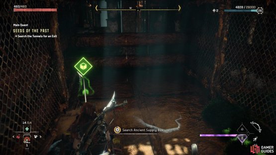 There will be a number of chests underground, at the dead ends