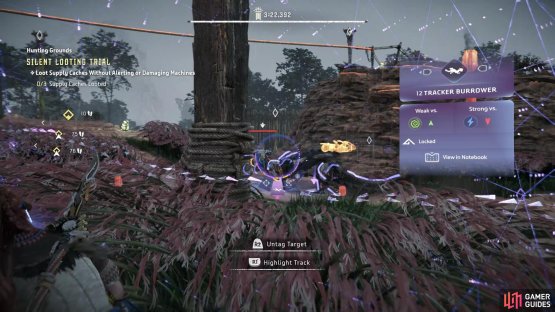 Tagging the Burrowers will make it easier to keep track of them