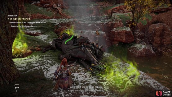 Along the trail to Split Crag examine a destroyed Bristleback.