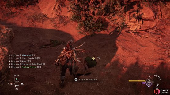 Loot a Seed Pouch from the corpses,