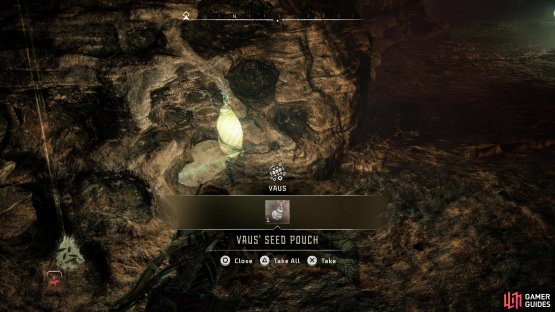 When you find Vaus&rsquo; corpse, pick up his Seed Pouch,