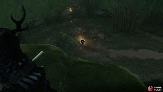 Survey the Camp