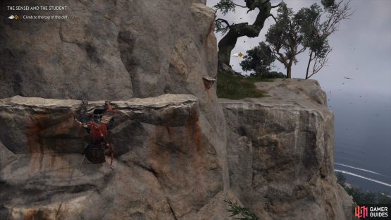 Climb the cliff and meet up with ishikawa