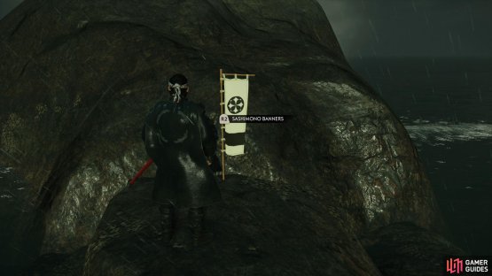 then swim out to the rocks in the ocean to find this Banner. 