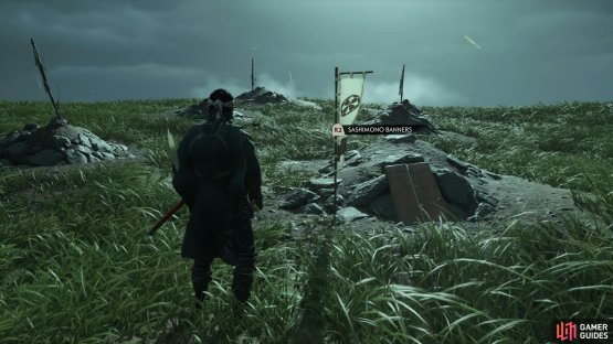 to find this Banner sitting in the center of an area full of graves.
