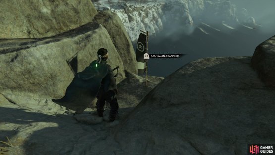  to find this Banner sitting on the cliff edge.