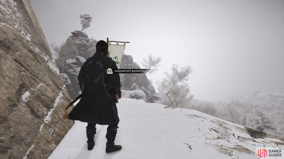 and climb up the cliff with the assistance of your grappling hook to reach the banner.