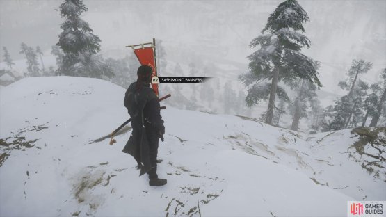  and climb up the cliff to find this banner.