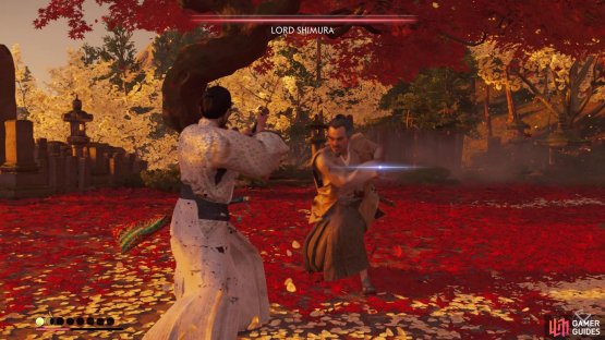 The attack from the back and forth darting can be blocked with the right skill