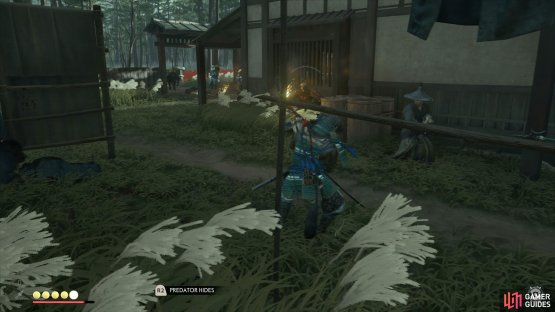 watch out for the tough Ronin enemies.