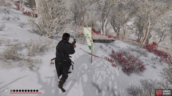 to find this banner sitting in the center of the forest.