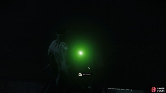  then go into the 2nd building on the right and climb the ladder to find this Record.
