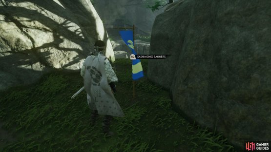 then climb up the cliff to find this banner. 