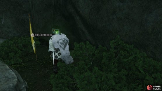 to find the Banner sitting by a rock. 