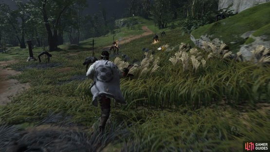 then hide in the grass and wait for the guards to come.