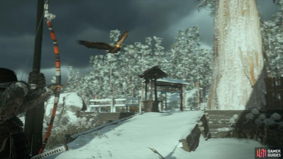 and be on the lookout for any Eagles.