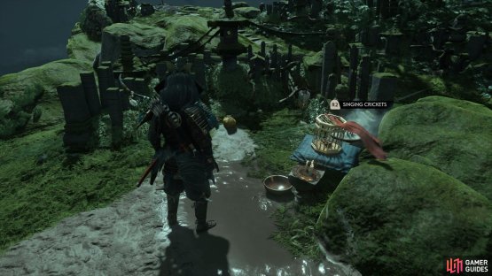 and you&rsquo;ll find this Singing Cricket at the Turtle Rock Shrine. 