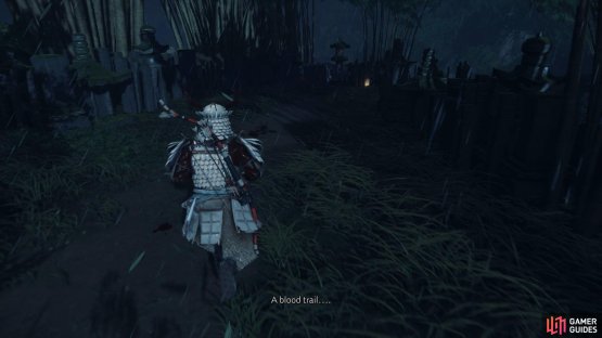 then follow the blood trail to find the hidden item.