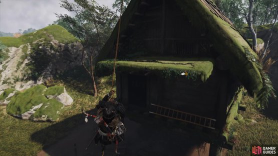 then use your grappling hook to get inside the Den. 