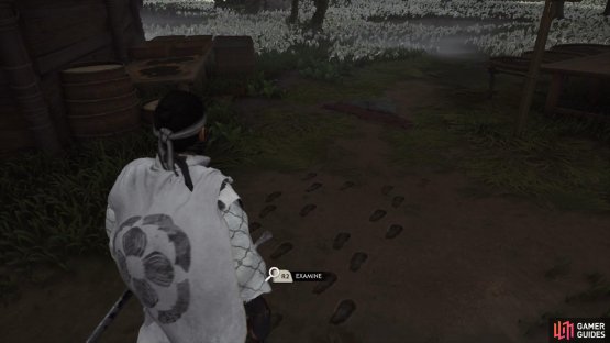 Follow the footprints to find the Monks