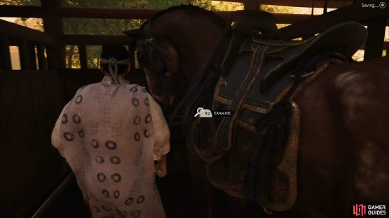 Examine the Stables