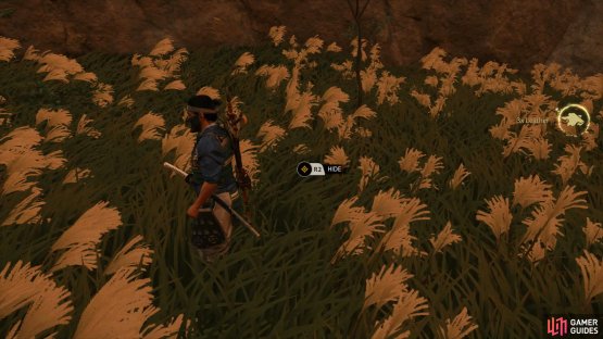 Hide in the bushes and wait for the Mongol&rsquo;s to approach