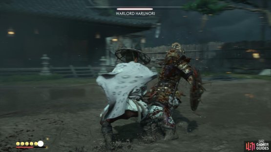 Counter Hanrunori&rsquo;s attack to get a couple hits in