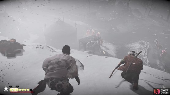 Freeing the bear from its cage can serve as a distraction