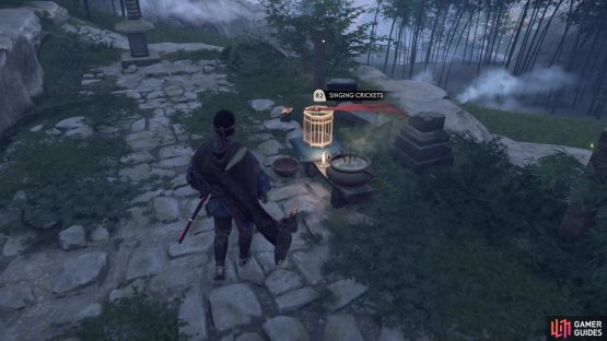 The location of the Hidden Cricket at Yoichi&rsquo;s Crossroads